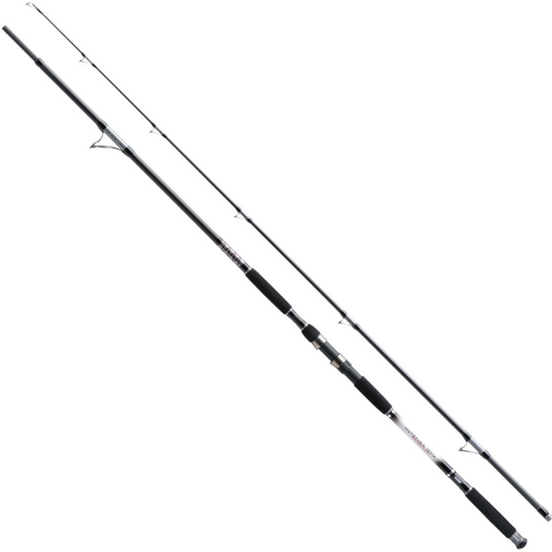 Wędka Jaxon Intensa GTX Catfish Spin 270cm / 50-120g Wędka Jaxon Intensa GTX Catfish Spin 270cm / 50-120g