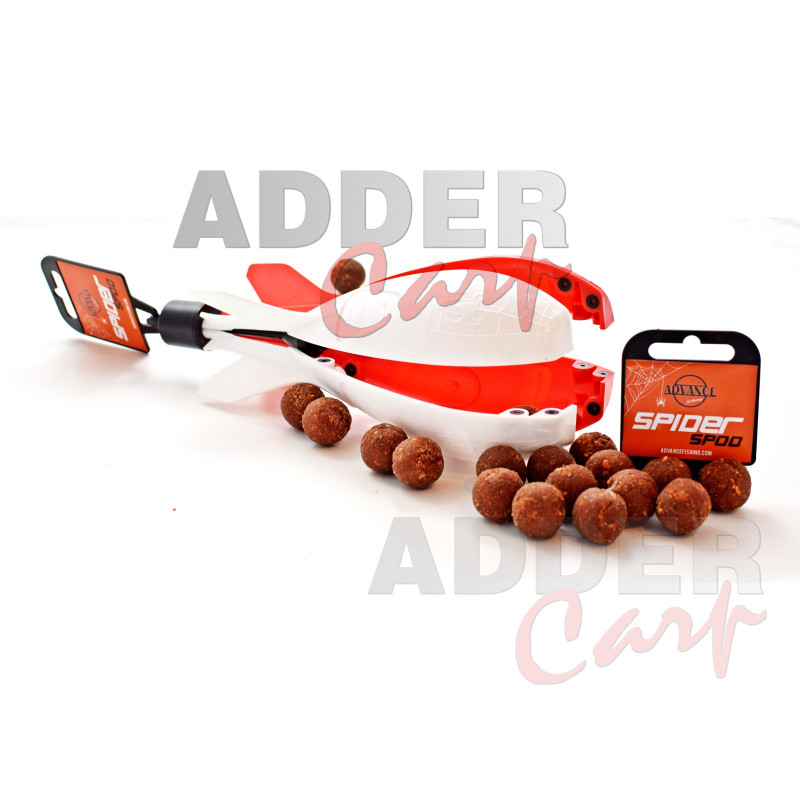 rakieta-zanetowa-spider-polonia-adder-carp