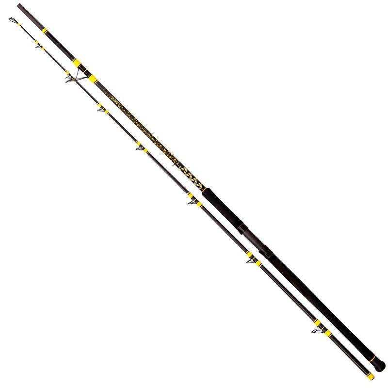 wedka-passion-pro-dx-boat-spin-black-cat
