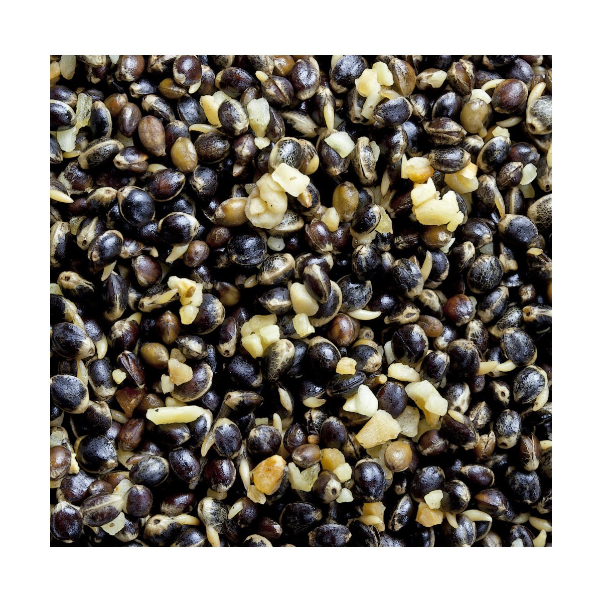 ziarna-konopi-baitzone