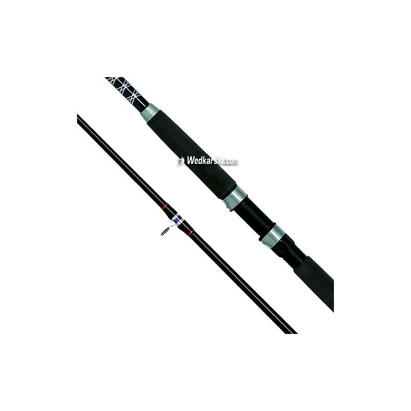 Wędka Rhino DF Big Fish 300cm / 300g