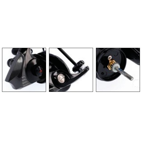 kolowrotek-cat-territory-mikado