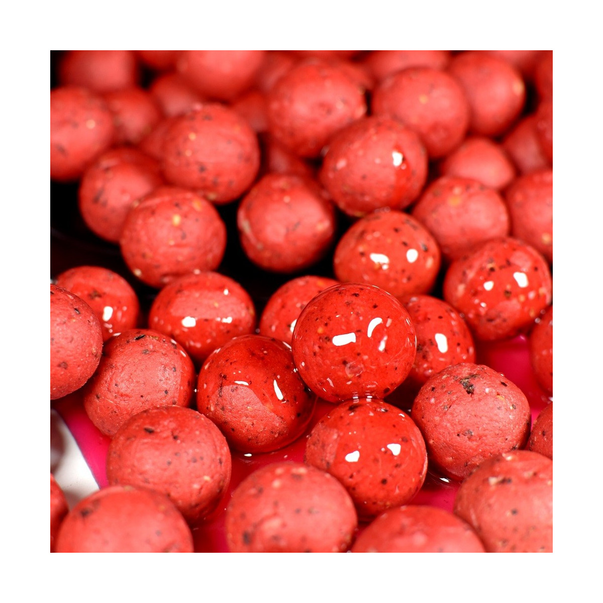 kulki-avid-zanetowe-adder-carp kulki-avid-zanetowe-adder-carp