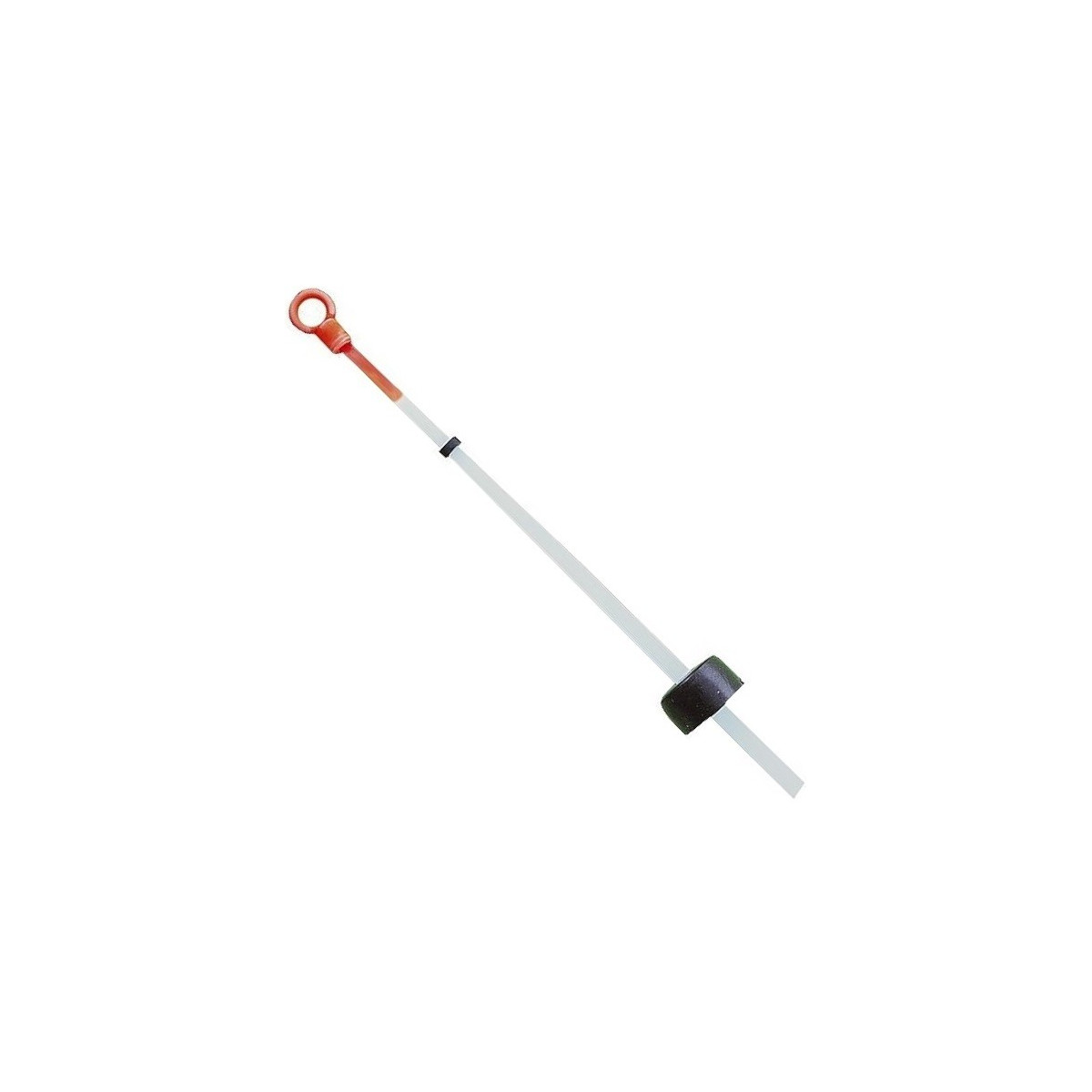 kiwok-typ-sc-jaxon kiwok-typ-sc-jaxon