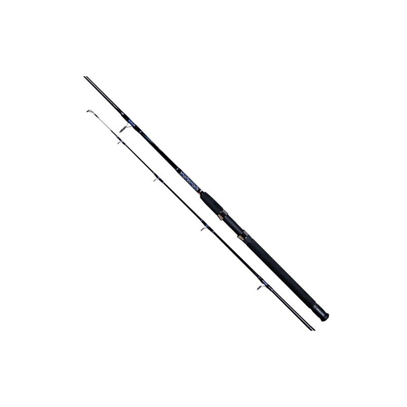 Wędka Robinson Power Stick Hi-Flex 300cm / 40-100g