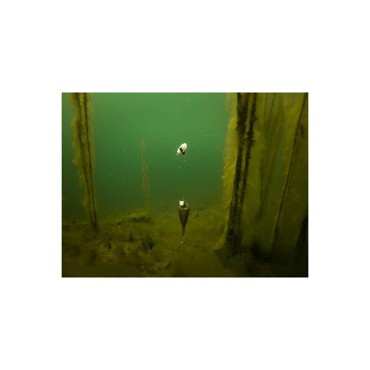 plywak-edges-zig-float-kit-fox plywak-edges-zig-float-kit-fox