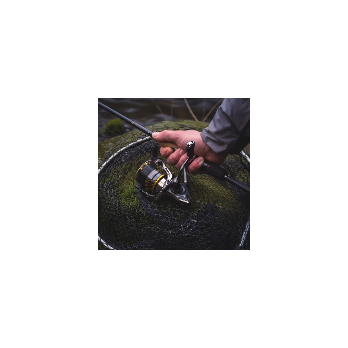 kolowrotek-twin-power-fd-shimano kolowrotek-twin-power-fd-shimano