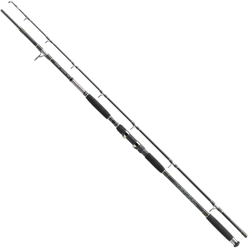 Wędka Jaxon Inspiral Cat Fish 285cm / 500g