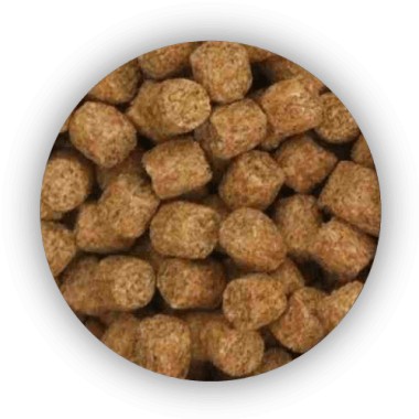 Pellet Coarse Fish 4kg SKRETTING