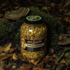kukurydza-fresh-maize-baitzone