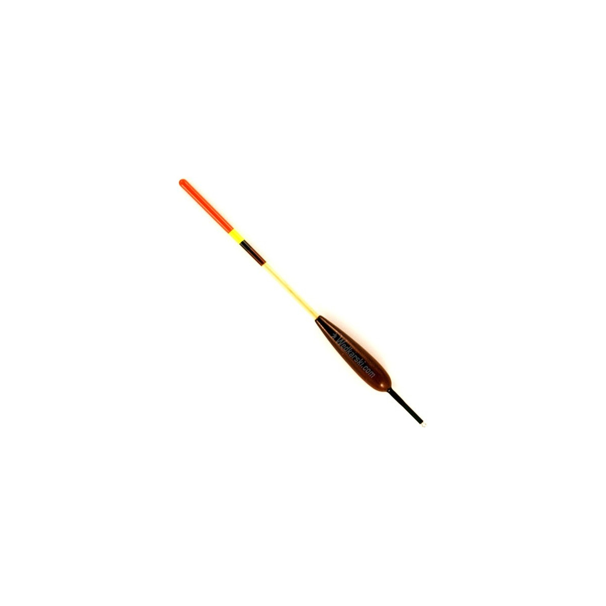 splawik-wt-jaxon