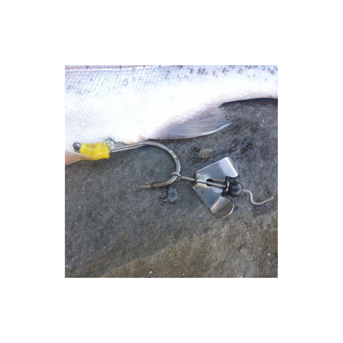 haczyk-buzzer-dg-black-cat haczyk-buzzer-dg-black-cat