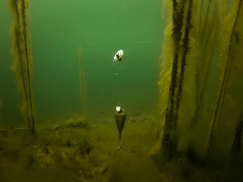 zig-rig-1