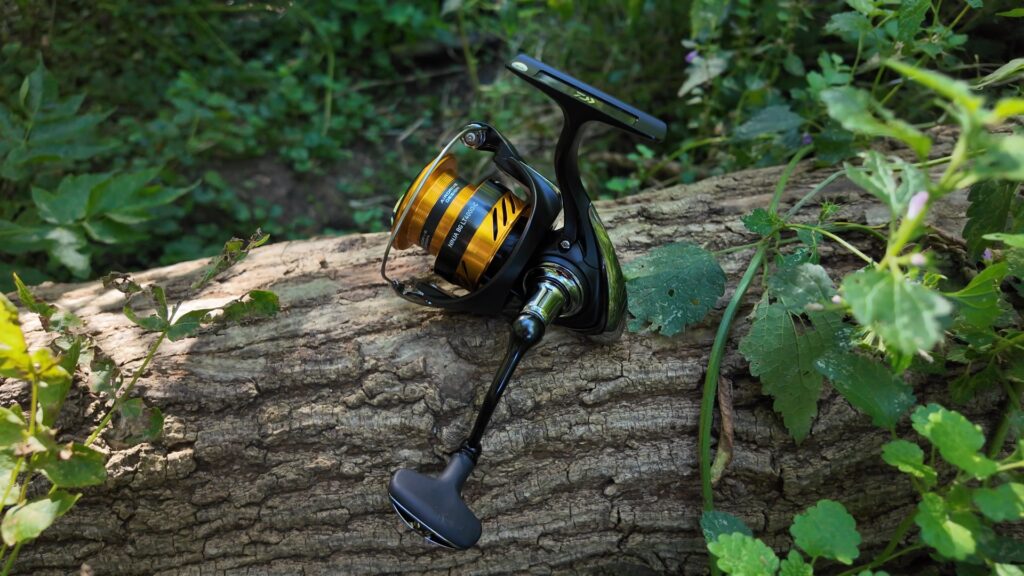 Daiwa BG LT