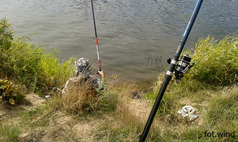 Narew w Ponikiewie