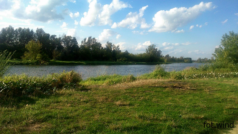 Narew w Ponikiewie