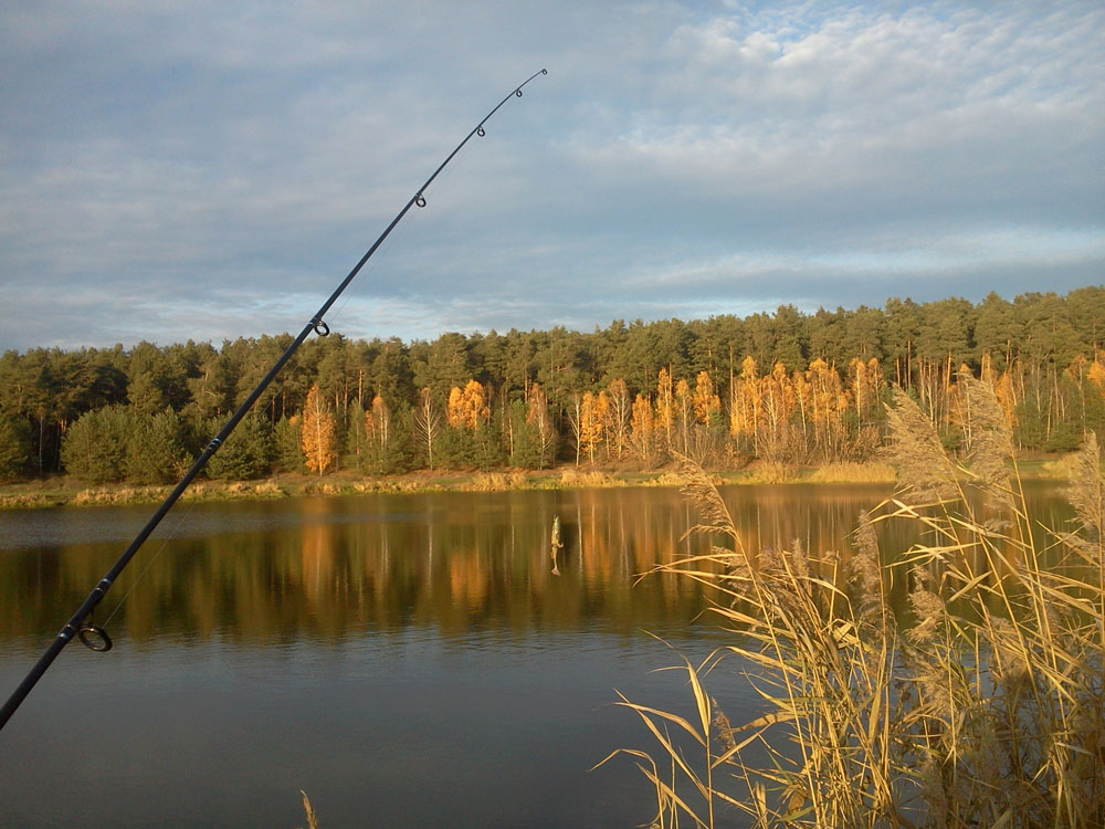 Abu Garcia Devil Spin – test