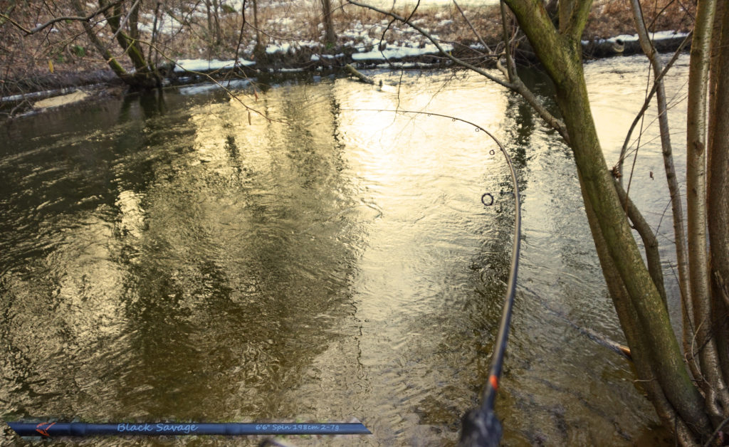dsc0408600000000