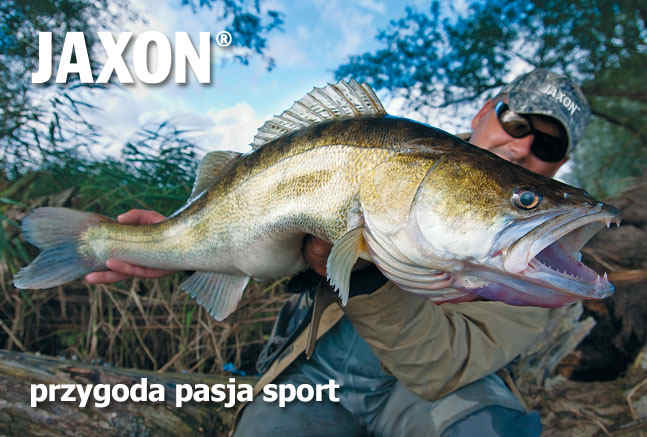 Producenci sprzętu – JAXON