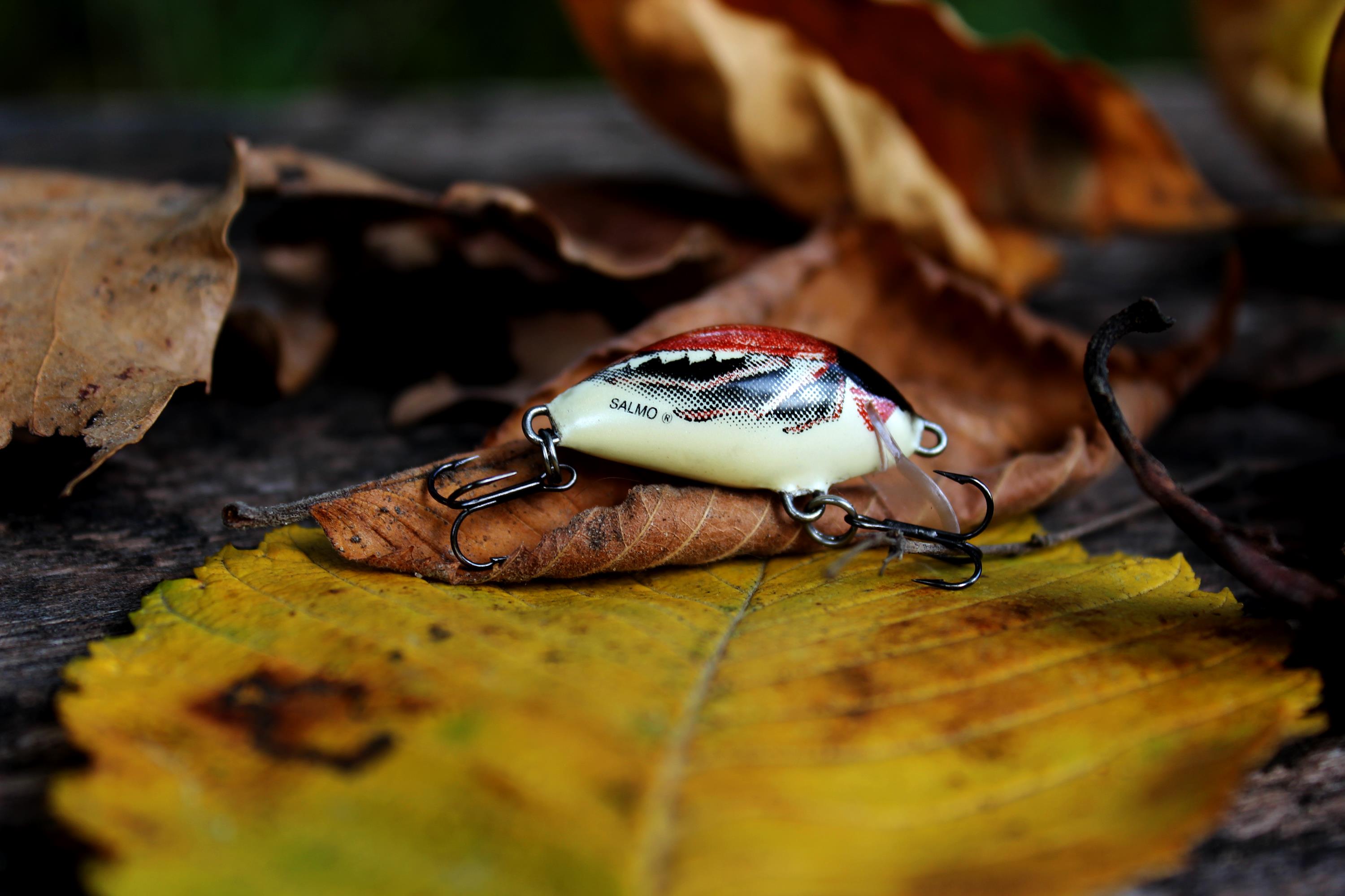 Woblery od Salmo – moje „salmiaczki”