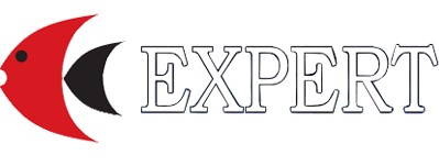Expert