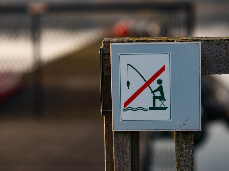 Zakaz wędkowania – kiedy, gdzie i co grozi za jego naruszenie?