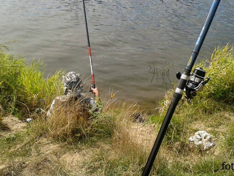 Narew w Ponikiewie