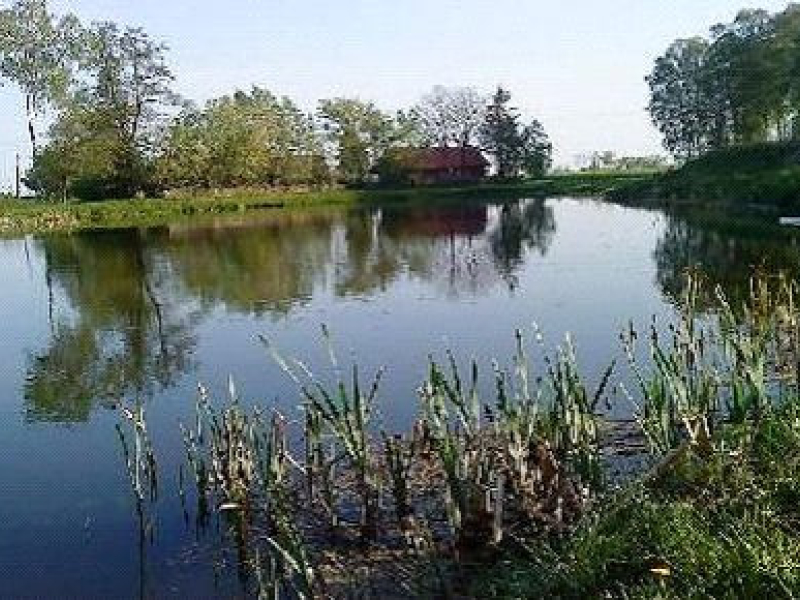 Wspomnienia przed rozpoczęciem sezonu
