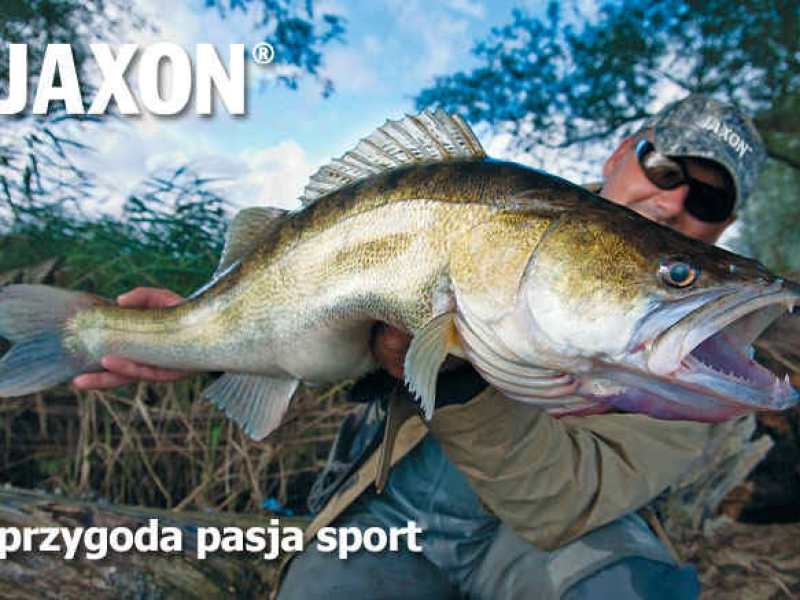 Producenci sprzętu – JAXON