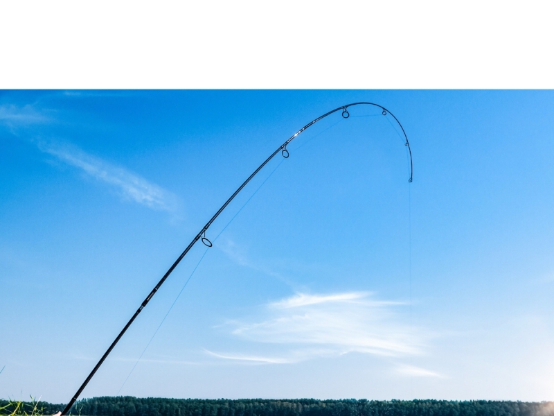Krzywa ugięcia 2,75 lb, 3 lb czy 3,5 lb?