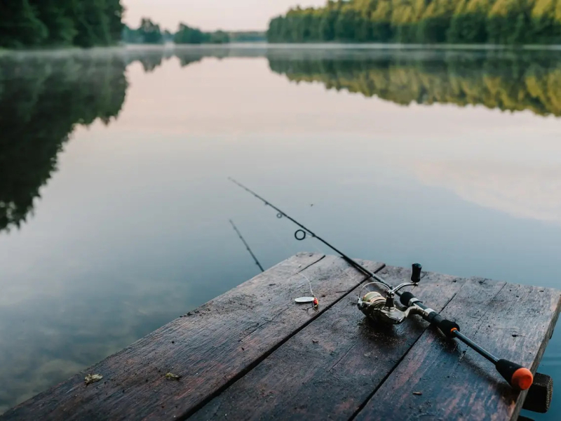 Jak łowić bolenia? Techniki i sprzęt na tę szybką rybę