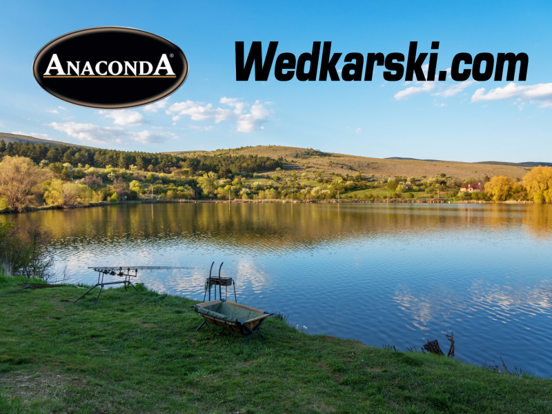 Oferta marki Anaconda na rok 2022 w sklepach Wedkarski.com