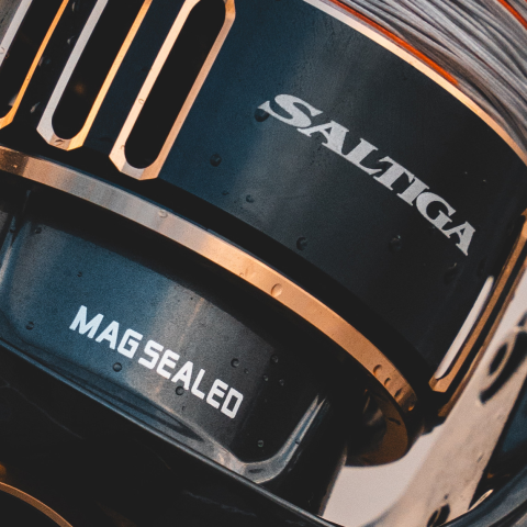 Kołowrotek morski Daiwa Saltiga 18000-H